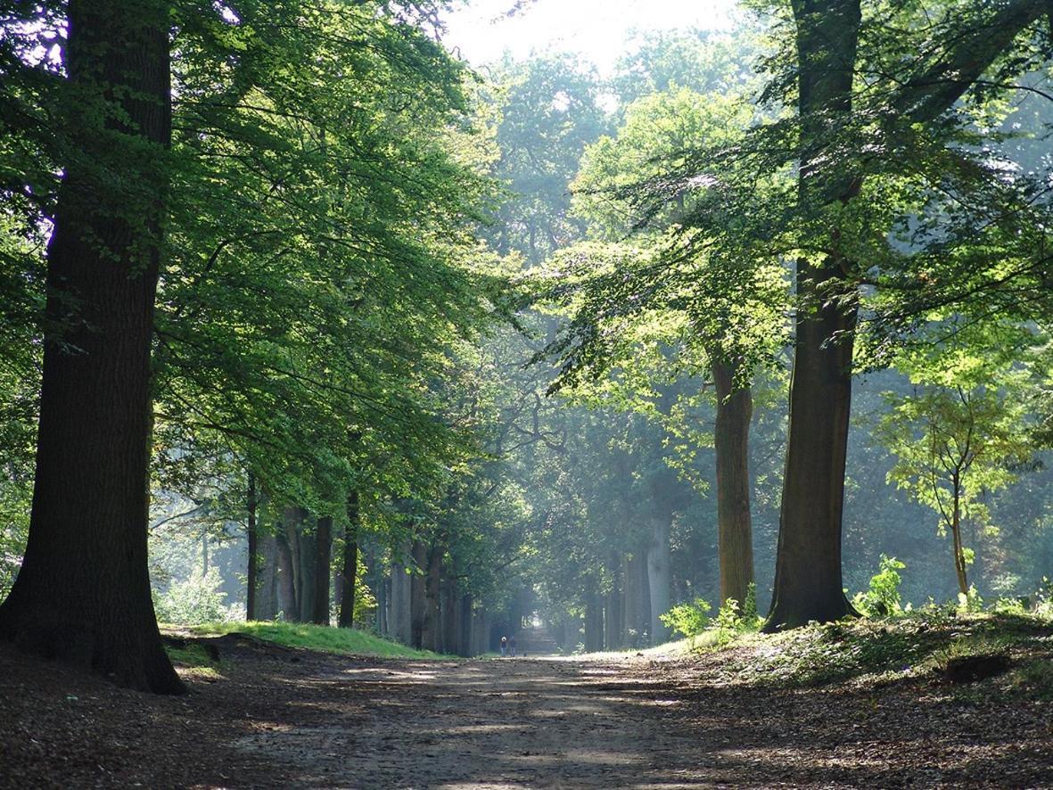 Luxe Safaritent Medley 5 Persoons Op Camping Rijsterbos Eksteriør billede